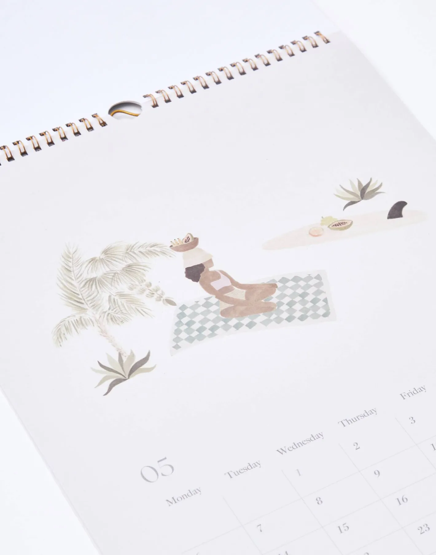 Natura Selection Agendas|Papelería^Calendario Yoga 2024