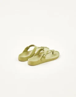 Natura Selection Calzado^Chancla Tira Dedo