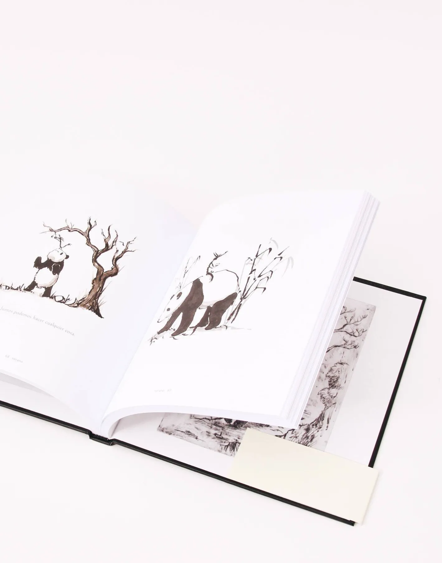 Natura Selection Libros^Gran Panda Y Pequeño Dragón