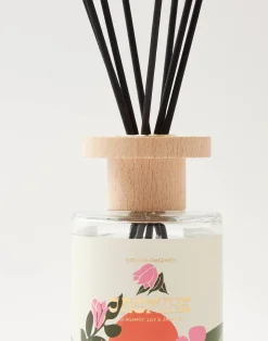 Natura Selection Aromas Y Difusores|Difusores^Mikado Modern 120ml