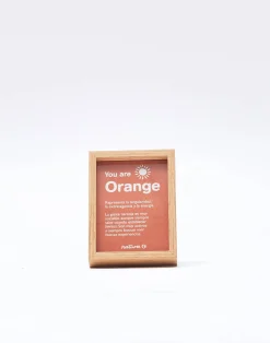 Natura Selection Decoración^Mini Marco 