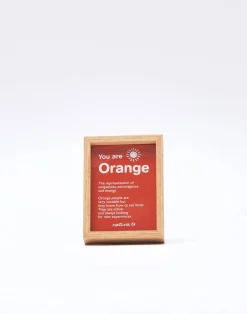 Natura Selection Decoración^Mini Marco 