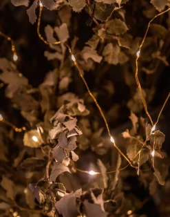 Natura Selection Iluminación|Decoración^Mini Tira De Luces