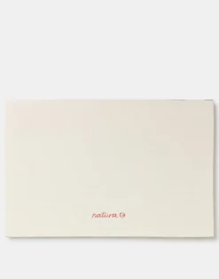 Natura Selection Papelería^Postal Barcelona Bonita