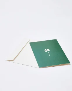 Natura Selection Papelería^Postal Papel Con Sobre