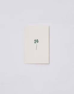 Natura Selection Papelería^Postal Papel Con Sobre