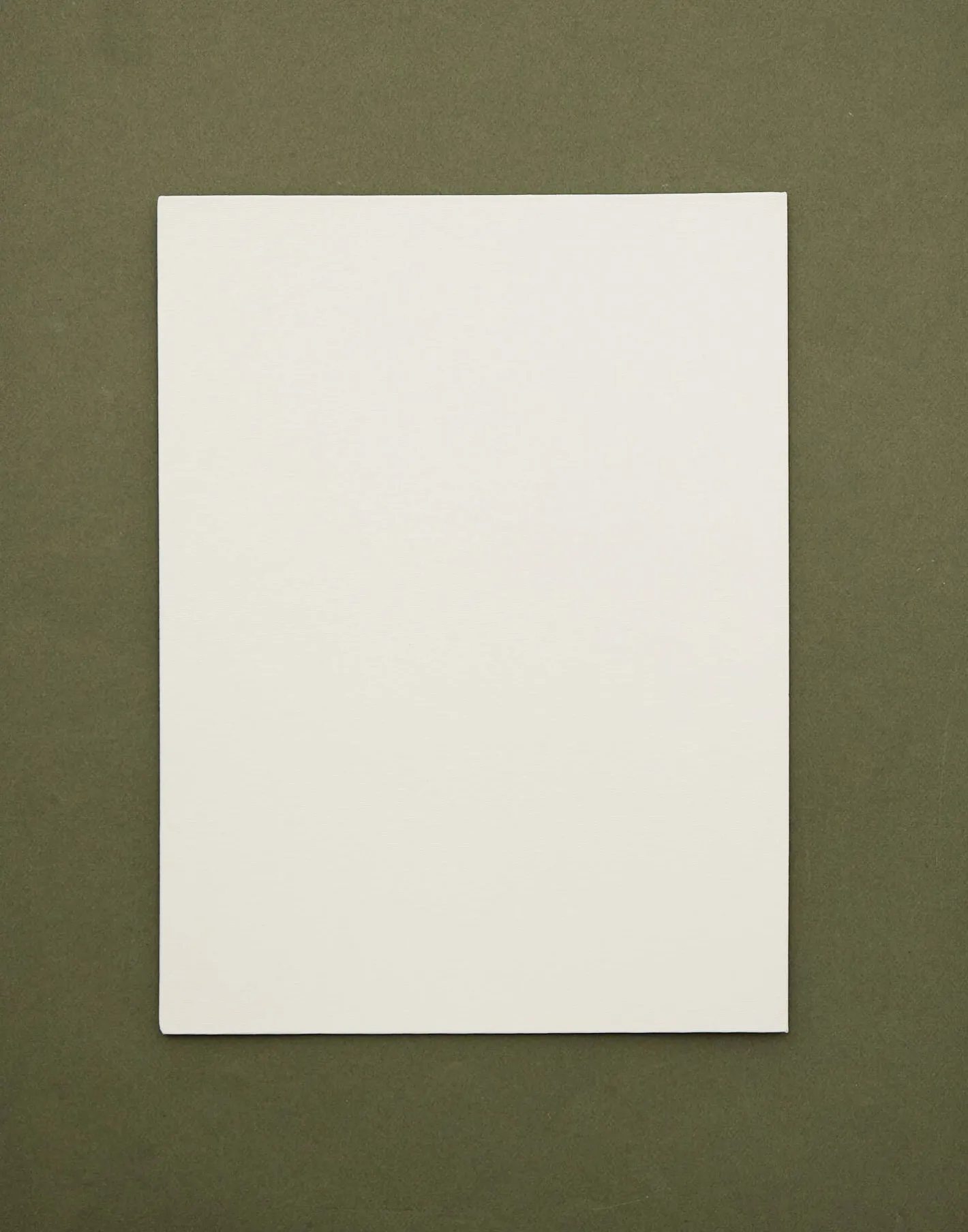 Natura Selection Papelería^Set 3 Lienzos Din A3