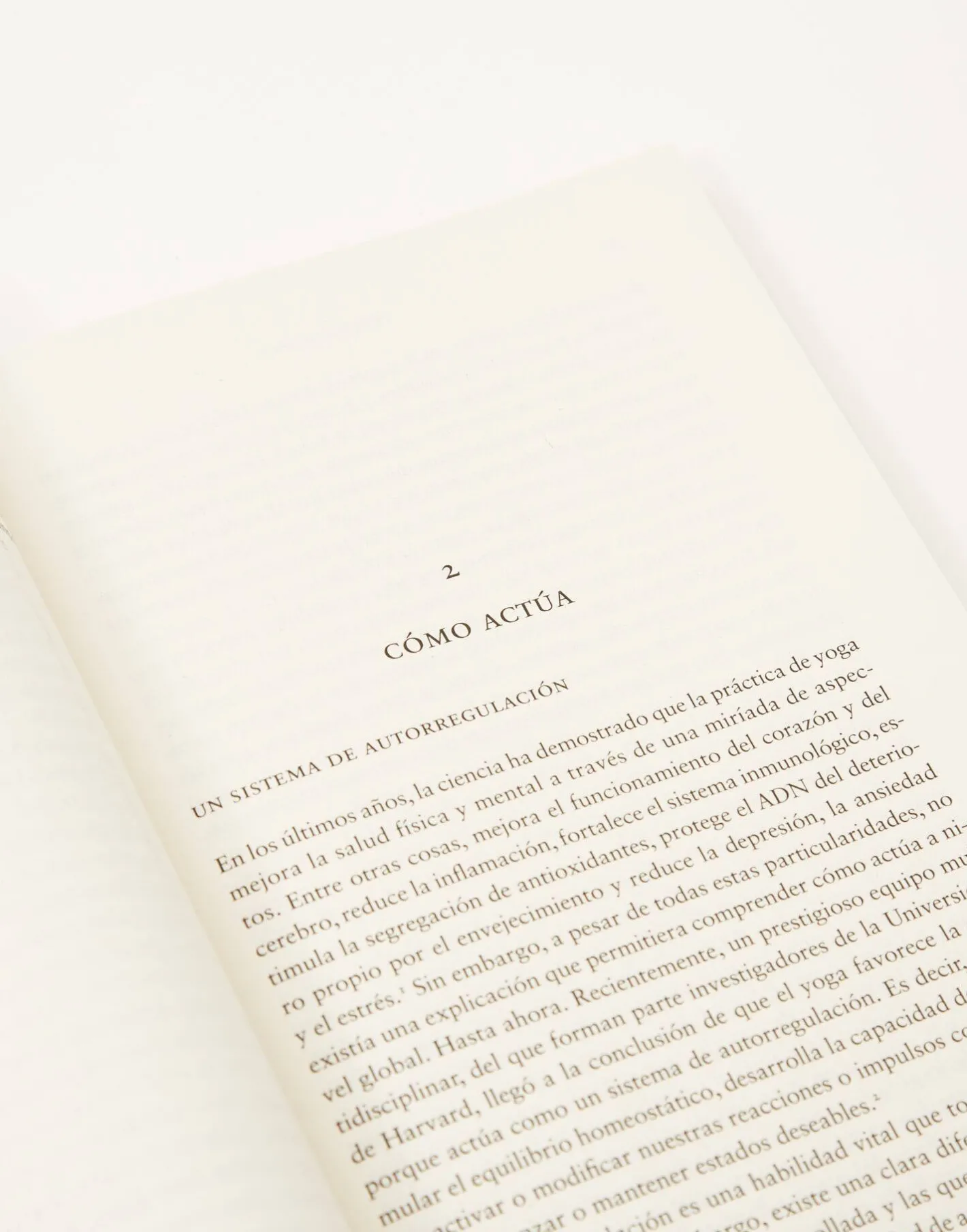 Natura Selection Yoga|Yoga^Yoga Para Alejarnos Del Dolor